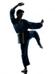 Karate Vietvodao Martial Arts