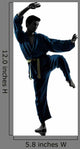 Karate Vietvodao Martial Arts