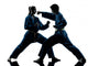 Karate Vietvodao Martial Arts