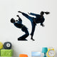 Karate Vietvodao Martial Arts