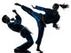 Karate Vietvodao Martial Arts