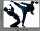 Karate Vietvodao Martial Arts