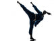 Karate Vietvodao Martial Arts
