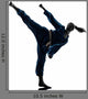 Karate Vietvodao Martial Arts