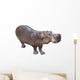 African Hippopotamus Wall Decal