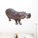 African Hippopotamus Wall Decal