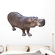 African Hippopotamus Wall Decal