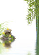 Composition Zen Bien-a Tre