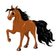 Brown Horse