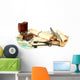 Map and Treasures Wall Decal