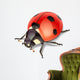 Ladybird-vector illustration Wall Decal