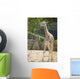 Baby Giraffe Wall Mural