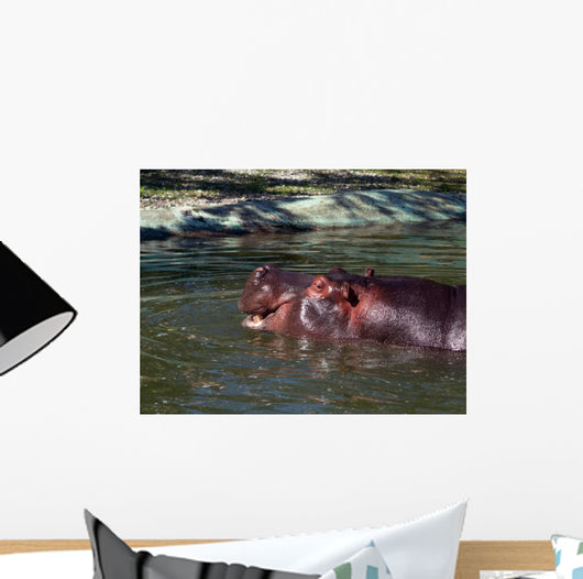Hippo
