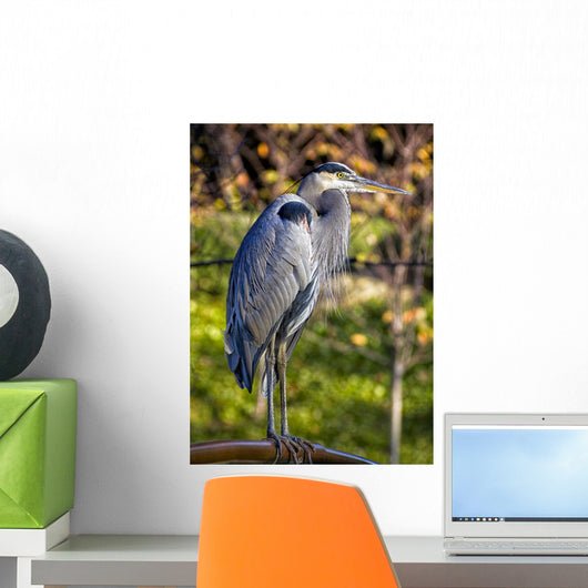 Great Blue Heron Wall Mural