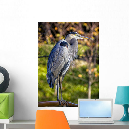 Great Blue Heron Wall Mural
