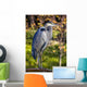 Great Blue Heron Wall Mural