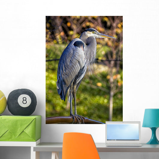 Great Blue Heron Wall Mural