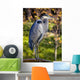 Great Blue Heron Wall Mural