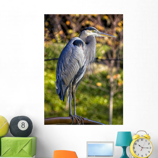 Great Blue Heron Wall Mural
