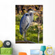 Great Blue Heron Wall Mural