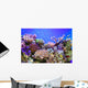 Underwater Life Wall Mural