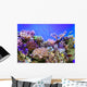 Underwater Life Wall Mural