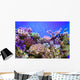 Underwater Life Wall Mural