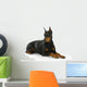 Doberman Pinscher