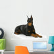 Doberman Pinscher
