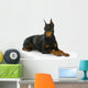 Doberman Pinscher