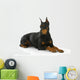 Doberman Pinscher