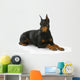 Doberman Pinscher