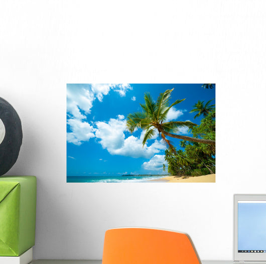 Tropical Beach