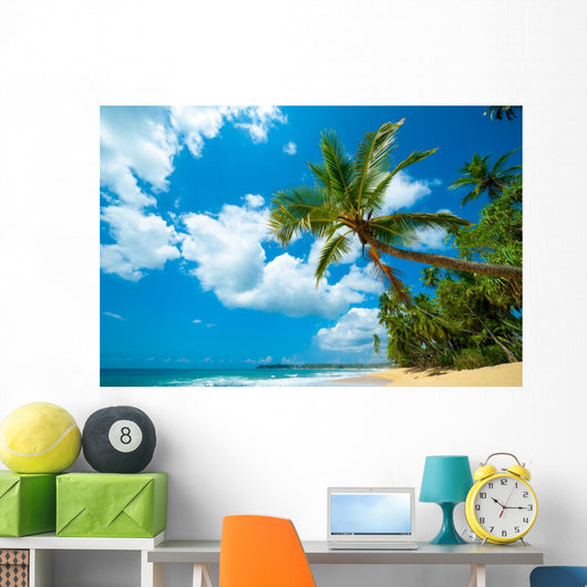 Tropical Beach