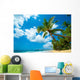 Tropical Beach