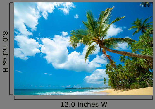 Tropical Beach