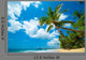 Tropical Beach
