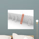 Several Ladders with Different Wall Decal