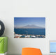 Mount Vesuvius, Naples Wall Mural