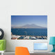 Mount Vesuvius, Naples Wall Mural