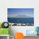 Mount Vesuvius, Naples Wall Mural
