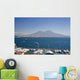 Mount Vesuvius, Naples Wall Mural