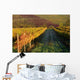 Vineyards Tuscany