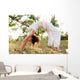 Female Yoga Master Wall Mural