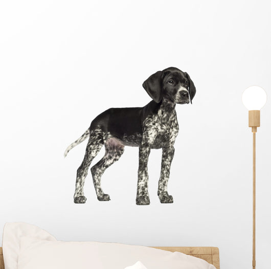 German Shorthaired Pointer Wall Decal