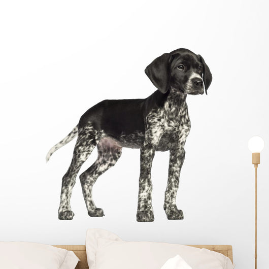 German Shorthaired Pointer Wall Decal