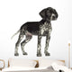 German Shorthaired Pointer Wall Decal