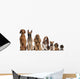 Group of brown dogs sitting, from taller to smaller Wall Decal