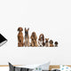 Group of brown dogs sitting, from taller to smaller Wall Decal