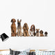 Group of brown dogs sitting, from taller to smaller Wall Decal